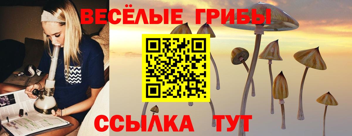 Псилоцибиновые грибы GOLDEN TEACHER Лесозаводск